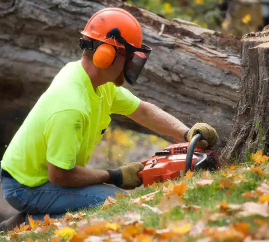 tree services Affton